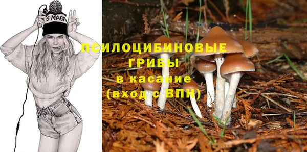 дмт Беломорск