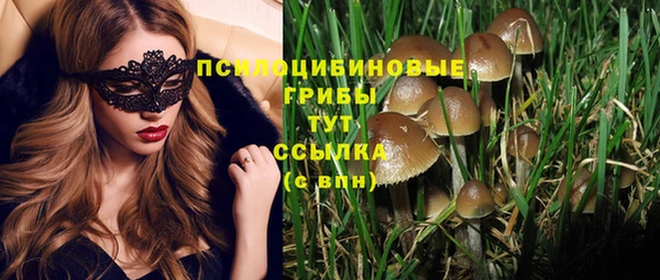 дмт Беломорск